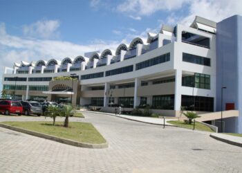 Grávida de gêmeos é submetida a trabalho análogo à escravidão por 12 anos na Bahia