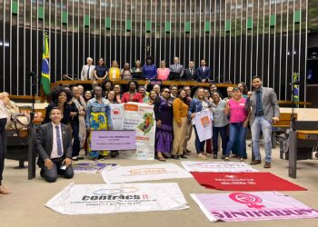 FENATRAD e SINDOMÉSTICO/Ba participam de sessão na Câmara dos Deputados em homenagem às trabalhadoras domésticas